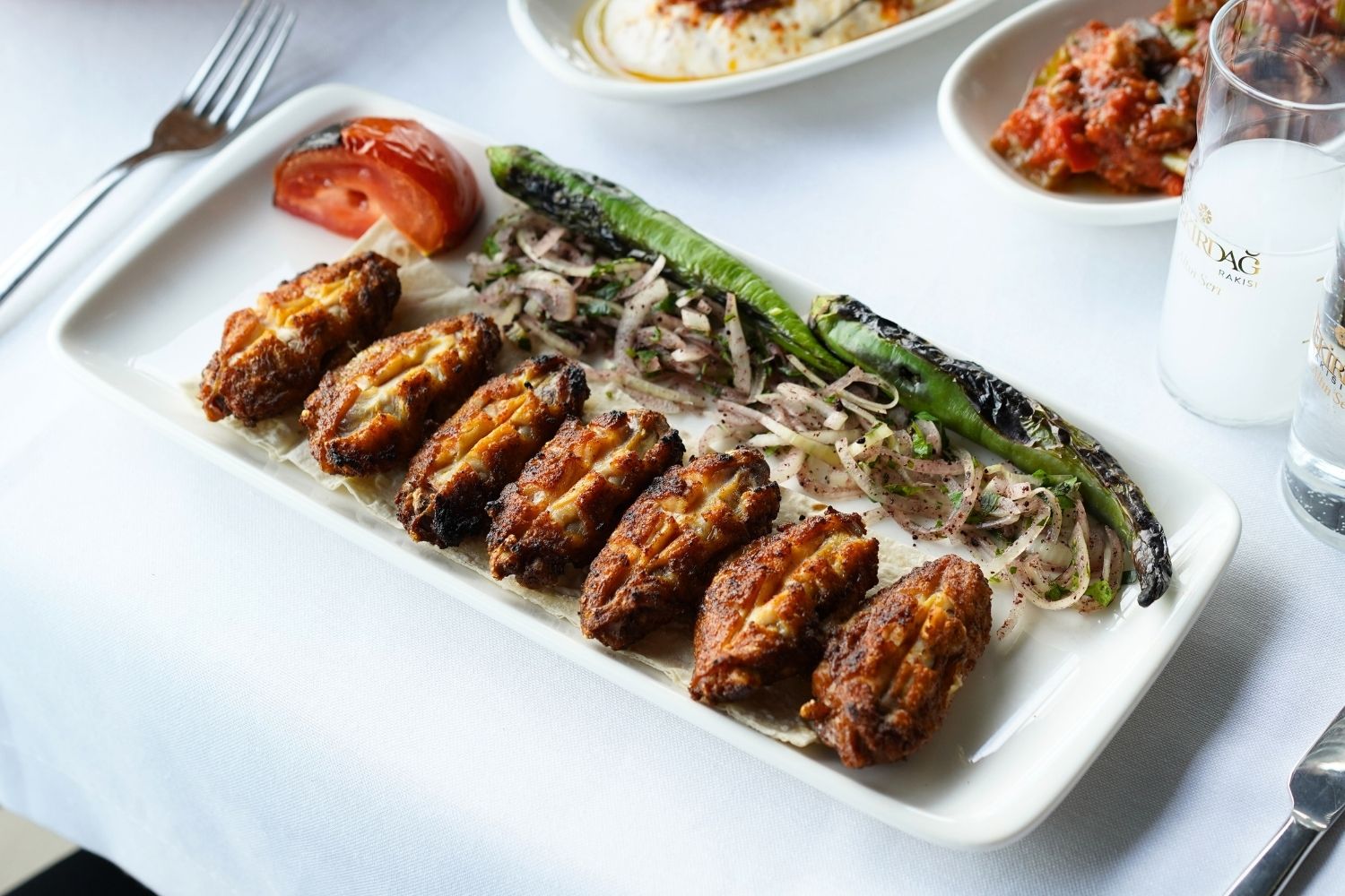 KANAT IZGARA