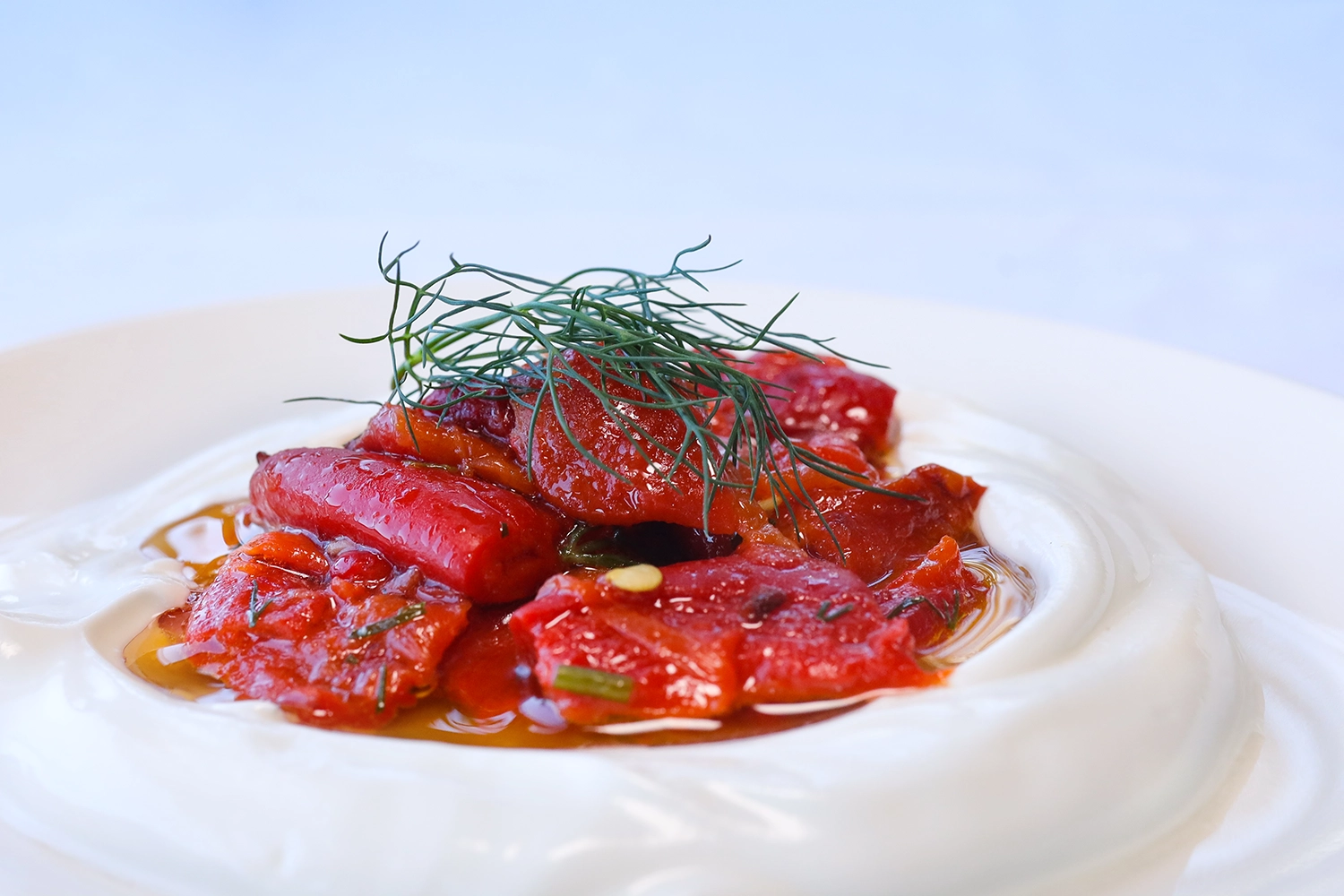 YOĞURTLU PAPRİKA